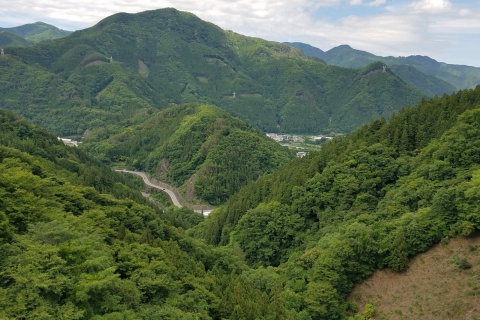 上野村山と道路