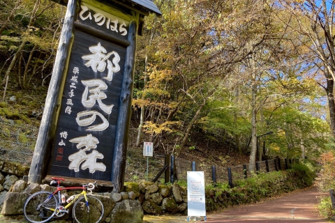 都民の森～風張峠ヒルクライムライド110km | シクロパビリオン